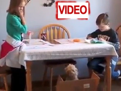 Κοριτσάκι κλαίει με λυγμούς όταν της κάνουν δώρο το σκυλάκι που πάντα ήθελε! (video)